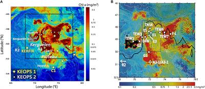 Differentiating Lithogenic Supplies, Water Mass Transport, and Biological Processes On and Off the Kerguelen Plateau Using Rare Earth Element Concentrations and Neodymium Isotopic Compositions